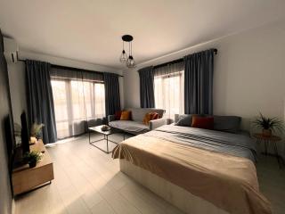 AmurResidence Ap3 Barbeque Airport&Parking - Iaşi - 1