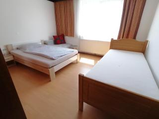 Apartment Alois in Seitenstetten - 1