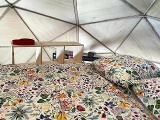 A break under a geodesic dome - - 2