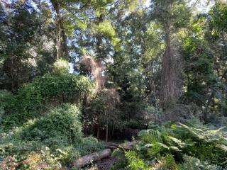 Villa Agape - 7
