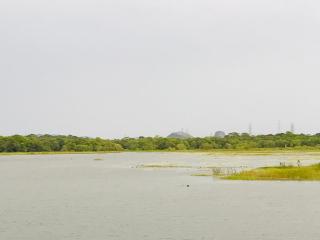 Ivory Cottage- Habrana Lake view - Habarana - 4