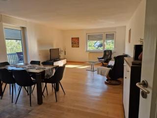 Gemütliche Ferienwohnung in Karlsruhe - Karlsruhe - 3