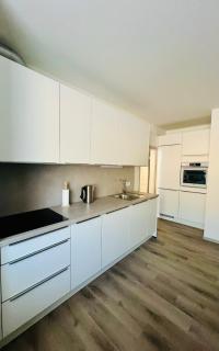 Nový apartmán s velkou terasou a grilem - Černý Dŭl - 4