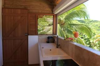 Cocotier, élégant T3 avec jardin tropical - Sainte-Anne - 4