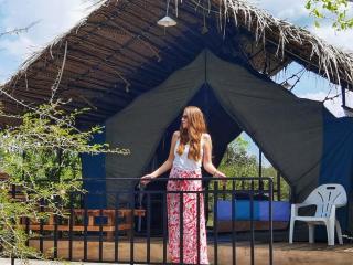 Block 5 Safari Camp - Yala National Park - Kohombagahapelessa - 4