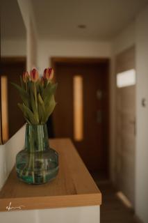 PW Apartamenty - Mrągowo - 8