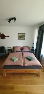 Moderne Ferienwohnung in Hahnenklee - 8