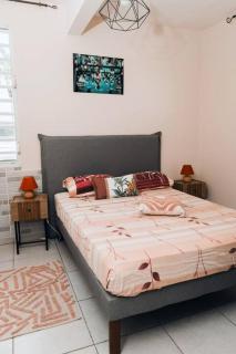 Rubis Appartement - Magnifique F3 - Sainte-Anne - 8