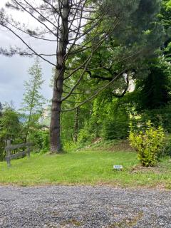Camping les Marronniers - - 1