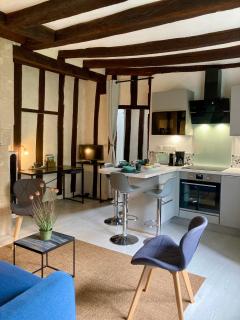 "Au Cygne Jaune" - studio calme en hypercentre - Tours - 0