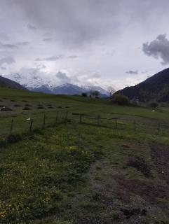 Qureli - Mestia - 5