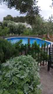 Trullo la glycine - 3