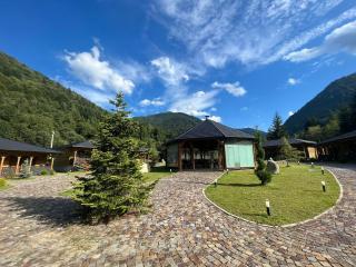 Woodville Resort - Moisei - 7