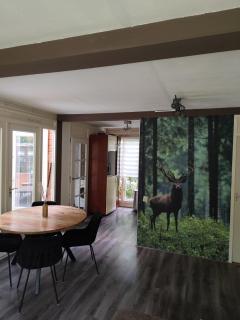 Bungalow in het bos - 4