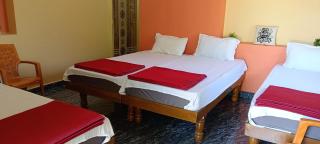 Hampi V S HOMESTAY - Hampi - 4