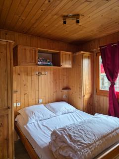 Chalet magnifique vue lac & piscine - Laffrey - 3