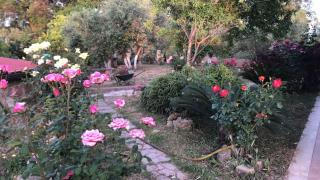 Camera Ginevra - Nettuno - 3