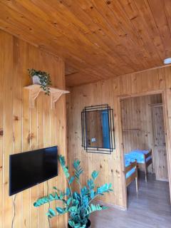 Chalet magnifique vue lac & piscine - Laffrey - 5
