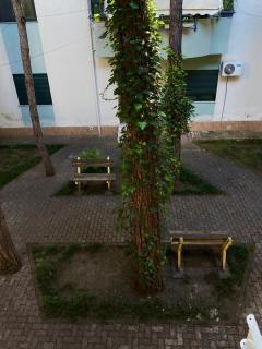 GM Apartment 1 - Golem - 2
