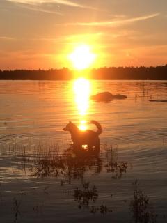 All Star Inn cottage on water with stunning sunsets - Tobermory - 4