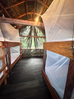 HostelyGlampingNativo - Buenaventura - 5