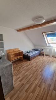 FLEX Aparts - möblierte Wohnung in Zwickau - Zwickau - 0