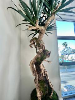 Penthouse 2 Bedroom with Hollywood Sign View! - Los Angeles - 3