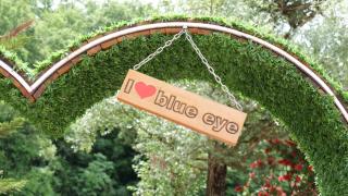 Blue Eye Saranda - Sarandë - 3