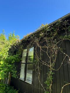 5 min from the water's edge - 1