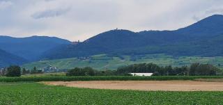 Le Coin Zen - Bergheim - 1