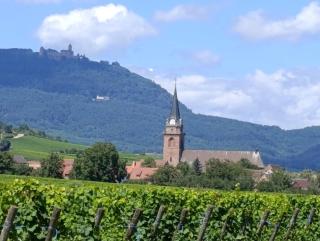 Le Coin Zen - Bergheim - 2