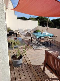 Appartement avec garage et grande terrasse , proximité des plages - La Grande-Motte - 4