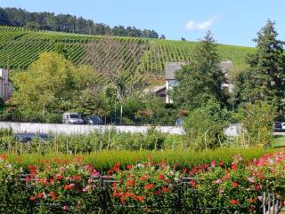 Le Coin Zen - Bergheim - 7
