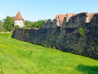 Le Coin Zen - Bergheim - 8
