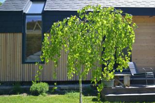 Brida Estate Glamping - Authentic Cozy Nest - Ilirska Bistrica - 8