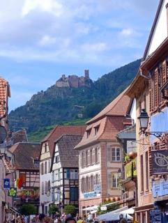 Le Coin Zen - Bergheim - 9
