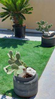 LA TERRAZZA ILLUMINATA luxury ROOFTOP - Trapani - 8