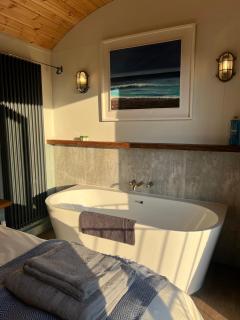 Ashmead Shepherds hut - Whimple - 2