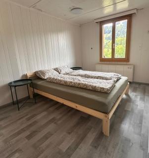 Grosses Chalet im Grünen - Oberwil - 1