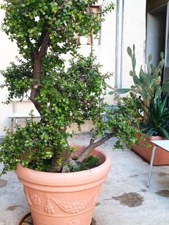 Yore - Catania - 9