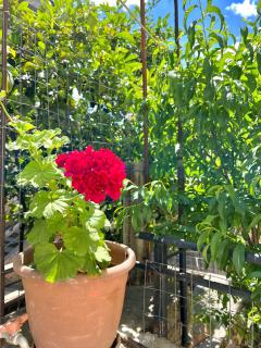 Green Heaven Apartment - Saranda - 3