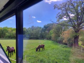 Pépère, bus aménagé dans camping à la ferme - - 3