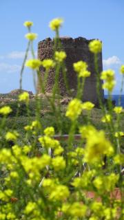 Casa del Faro - Isola Rossa - 7