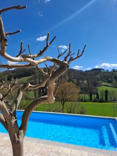 B&B VILLA GINEVRA - Pietralunga - 9