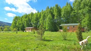 Domki pod Brzózkami - Wambierzyce - 5
