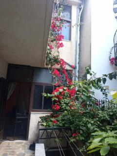 Apartment with Garden - Amarinthos - 5