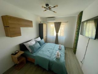 MER Apartment ! - Timişoara - 9