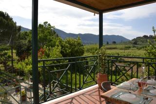 Fimi's apartment - 0