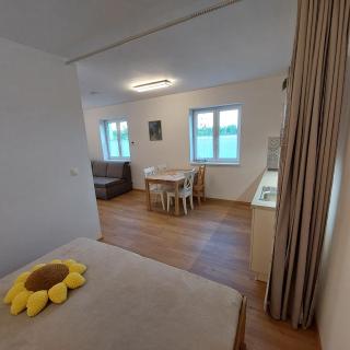 Apartmány Hluchá Bašta s vnitřním bazénem - České Budějovice - 9