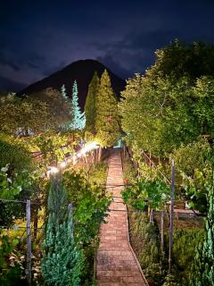 Lakeview Escape Koman - 3